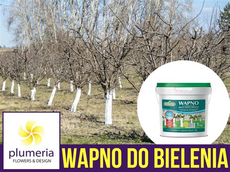 WAPNO Do Bielenia Drzewek W Wiaderku Cena 1kg Sklep Ogrodniczy Plumeria Pl