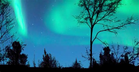 Aurora Borealis in the Night Sky · Free Stock Photo