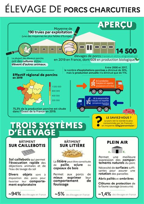 Fiche élevage Tout savoir sur lélevage de porcs charcutiers