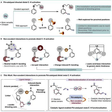 Distal Meta Alkenylation Of Formal Amines Enabled By Catalytic Use Of