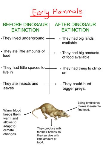 Early mammals | Teaching Resources