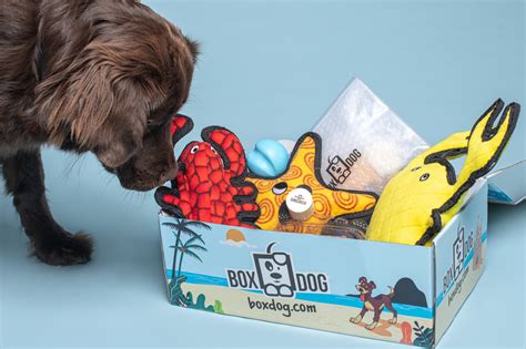 Subscription Boxes for Pets