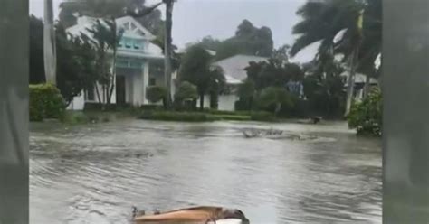 Riding Out Hurricane Ian In Naples Florida Its Just A Part Of Life