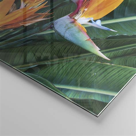 Impression Sur Verre X Cm Tableaux Image Photo C Leste Oiseau Fleur