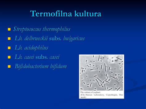 Napravili: Toni Biskupović Marčela Mioč, ppt κατέβασμα