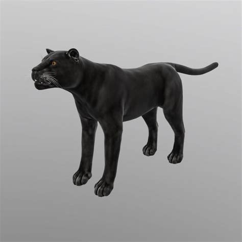 D Model Panther Lowpoly D Model Vr Ar Low Poly Cgtrader