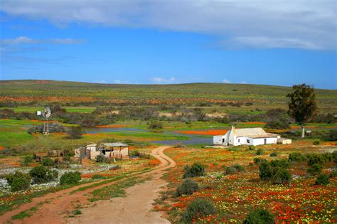 Namaqua National Park National Parks In South Africa