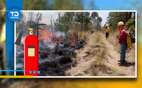 Incendios forestales en Puebla dañan 360 hectáreas Telediario México