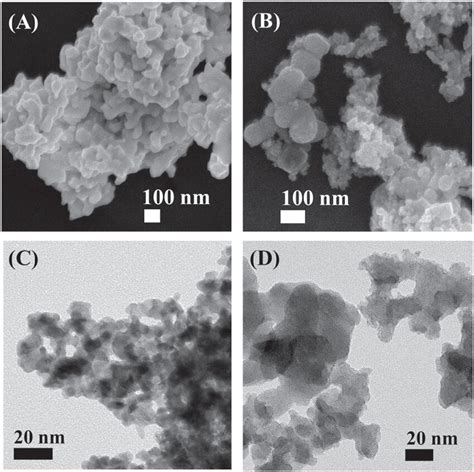 Sem And Tem Images Of Pt And Iro Catalyst Sem Images Of A Pt Black