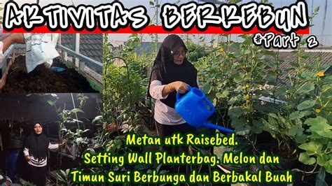 Aktivitas Berkebun Dilahan Sempit Part Setting Wall Planterbag