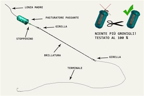 Montatura Da Feeder In Mare Istruzioni Per Il Montaggio Pantofish