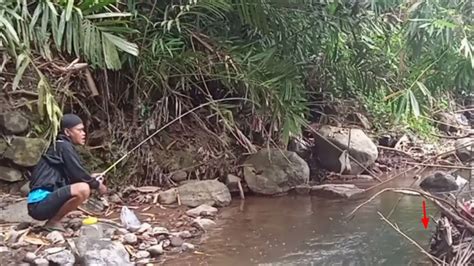 Edan Mancing Di Sungai Kecil Pas Di Sarangnya Ikan Mahal Youtube