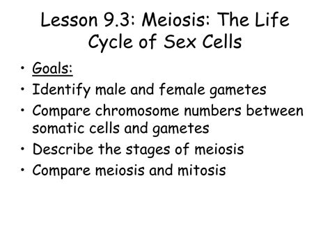 Ppt Lesson 93 Meiosis The Life Cycle Of Sex Cells Powerpoint Presentation Id9641563