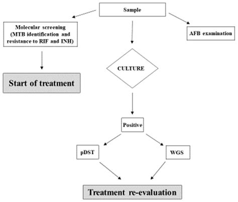 Implementation of Whole Genome Sequencing of Tuberculosis Isolates in a
