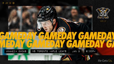 Preview: Ducks Continue Homestand, Open 2024 Slate Tonight vs. Leafs ...