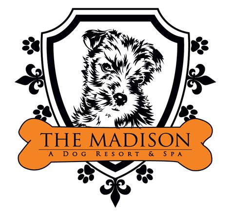 The Madison Dog Resort & Spa | Dog Boarding