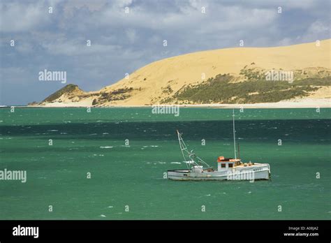 Sand Dunes Hokianga Harbour Northland New Zealand Stock Photo - Alamy