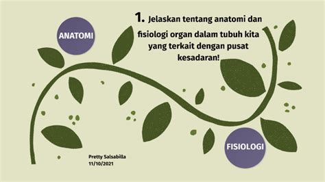 1 Jelaskan Tentang Anatomi Dan Fisiologi Organ Dalam Tubuh Kita Yang