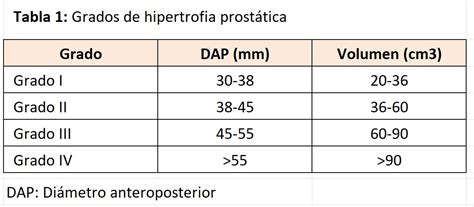 Ecograf A Transabdominal De La Vejiga Y Pr Stata Nefrolog A Al D A