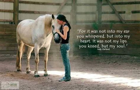 Inspirational Quotes For Horse Lovers. QuotesGram