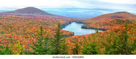 groton state forest royalty  images stock  pictures