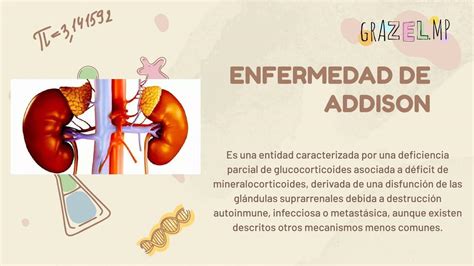 Enfermedad De Addison Grazel MP UDocz