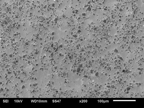 B 4 C Particle Distribution In The 1a Alloy Download Scientific Diagram