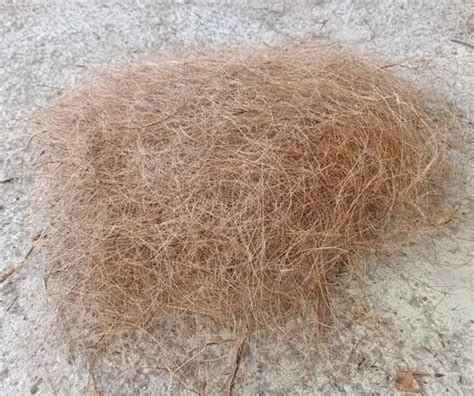 Brown Coconut Coir Fiber For Yarn Rope Packaging Type Loose At Rs