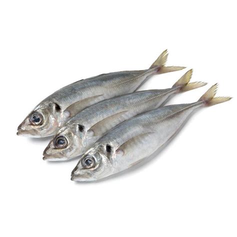 Fresh Ayala Para Fish 1kg - Quoodo | Fresh fish, Best online grocery ...