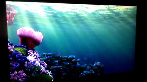 Fish Finding Nemo DVD Menu