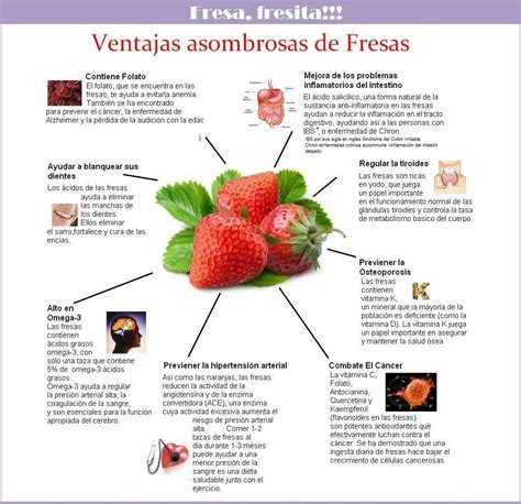 Propiedades Y Beneficios De La Fresa Infografias Infographic Frutas Images