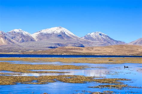 Cuatro paisajes de Chile que te harán sentir en el paraíso