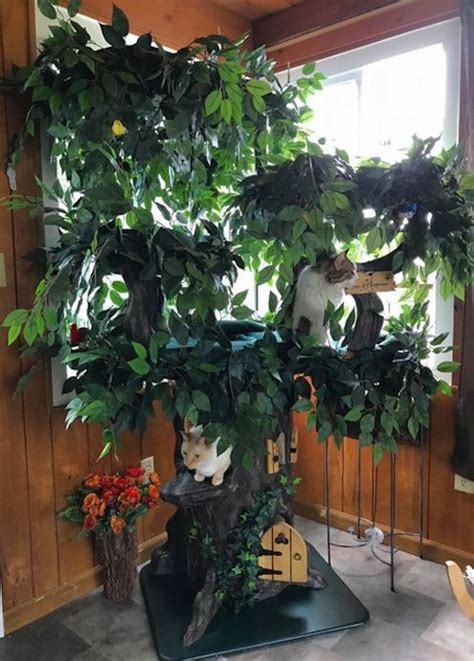 Fantasy Forest Enchanted Forest Cat Tree Dell Oneal