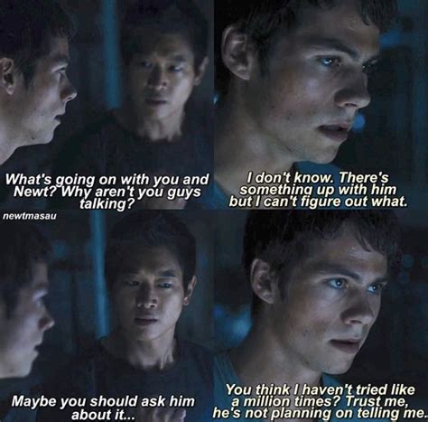 Pin By J On Gay Paradise Maze Runner Funny Maze Runner Cast Maze Runner Trilogy