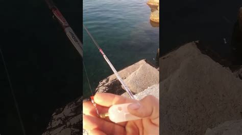 Pesca All Inglese Con Galleggiante A Pasturatore Youtube