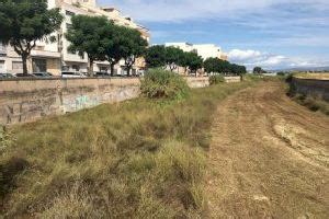 El Ayuntamiento inicia la limpieza del cauce del río Anna en el tramo