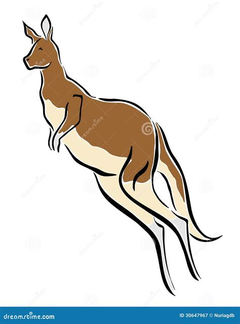 Kangaroo stock vector. Illustration of jump, drawing - 30647967