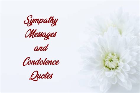 80 Sympathy Messages and Condolence Quotes for Loss – Tiny Positive