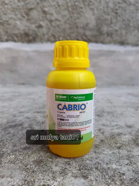 Fungisida Cabrio Ec Ml Obat Pembasmi Jamur Tanaman Padi Lazada