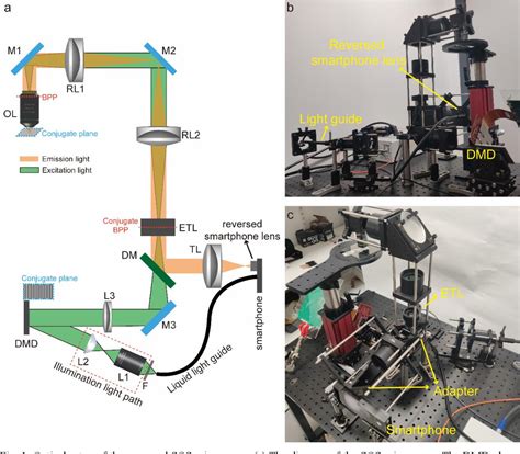 Figure From Smartphone Based Optical Sectioning Sos Microscopy With