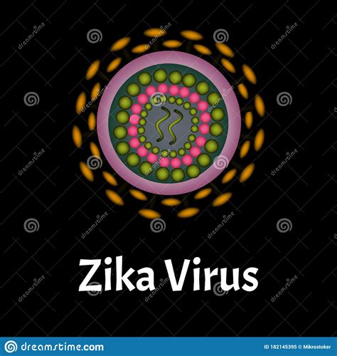 Zika Virus Structure Zika Virus Infection Sexually Transmitted