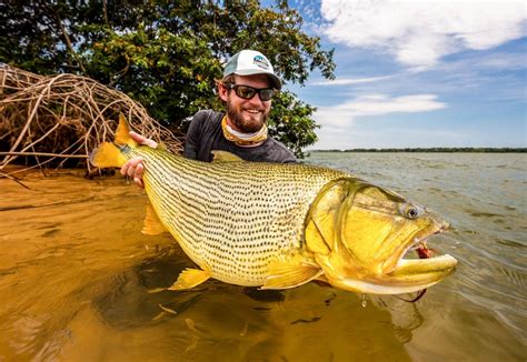 Suindá Lodge Argentina Fly Fishing For Golden Dorado