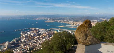 view--gibraltar monkey, panorama : Moorish Empire