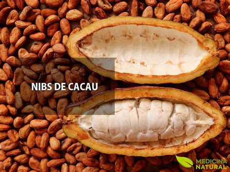 Nibs De Cacau Um Super Alimento Medicina Natural