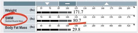 Body Composition Terminology Guide Sciatica Clinic