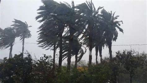 El Gobierno De Canarias Declara Alerta Por Viento En La Palma Y Tenerife