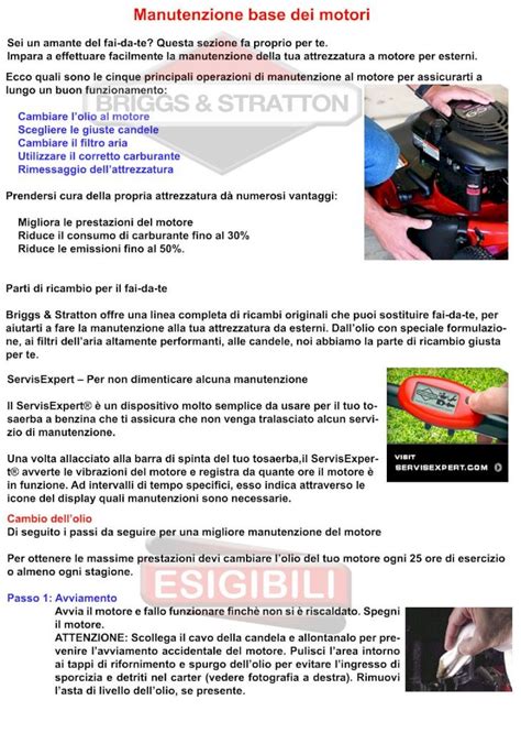 PDF Guida Alla Manutenzione Dei Motori Briggs Stratton DOKUMEN TIPS