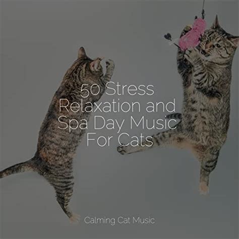 Écouter 50 Stress Relaxation and Spa Day Music For Cats de Jazz Music ...