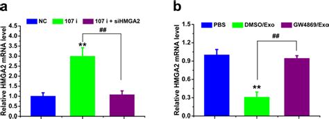 Exosomal MiR 107 Increased Drug Sensitivity Of SCG 7901 5 FU Cells By