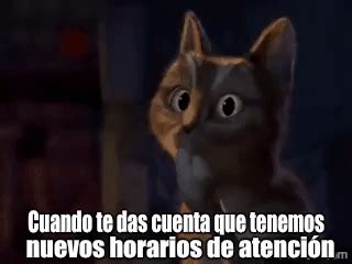 Gato sorprendido - Gato Con Botas la película on Make a GIF